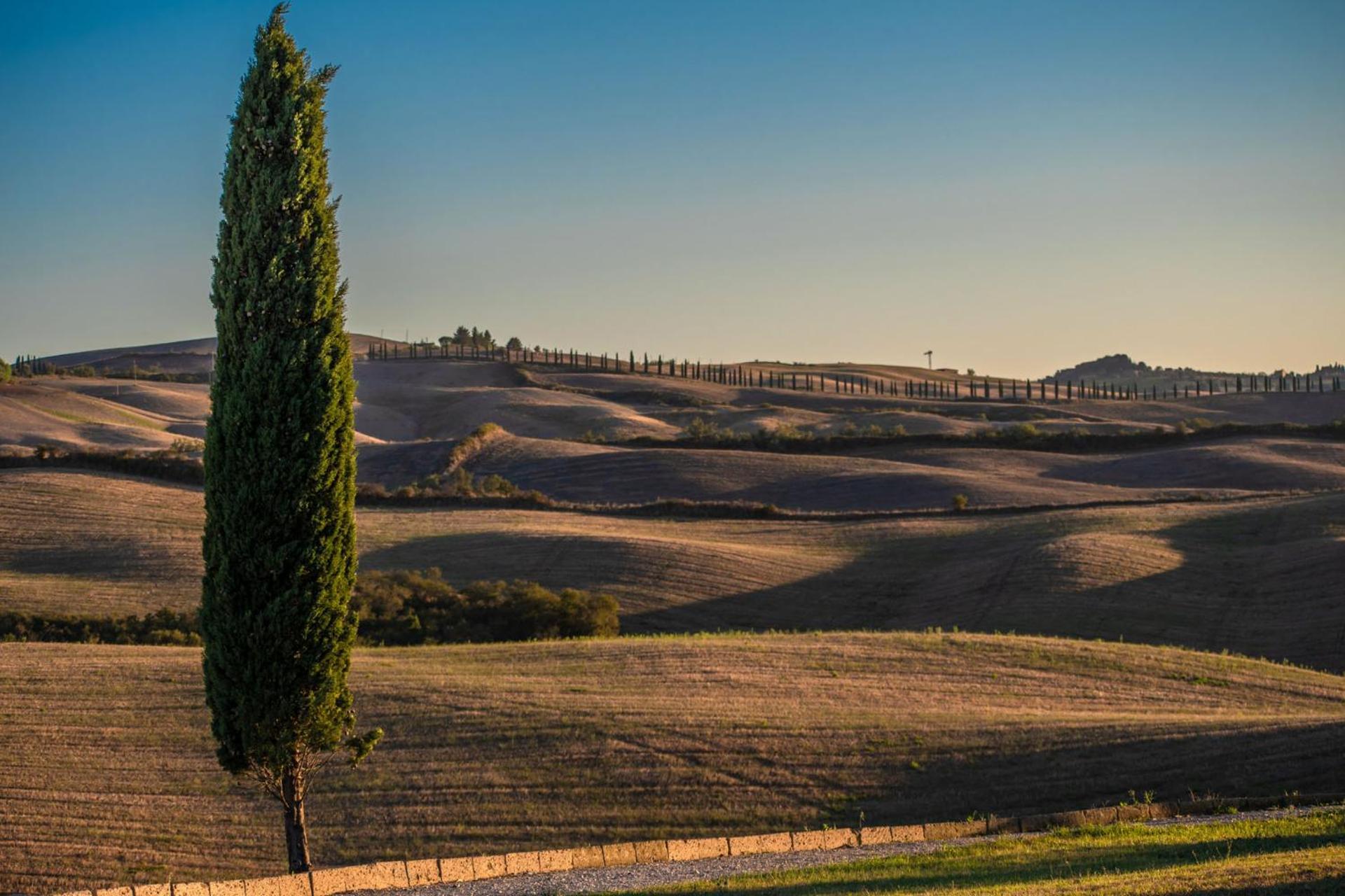 Podere Fossaccio Casa Pino Asciano Exterior photo